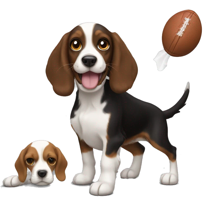 A black brown cocker spaniel and a beagle play catch emoji