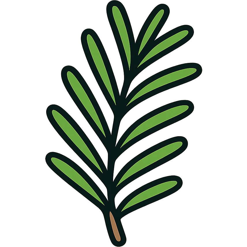 Fresh green rosemary herb with needle-like leaves on woody stems emoji