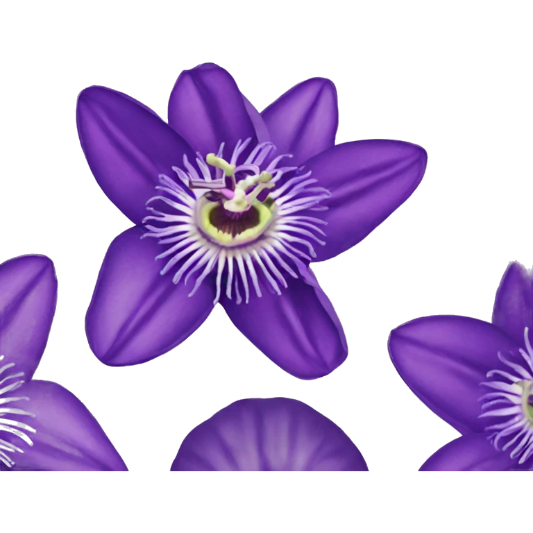 Purple passion flowers  emoji