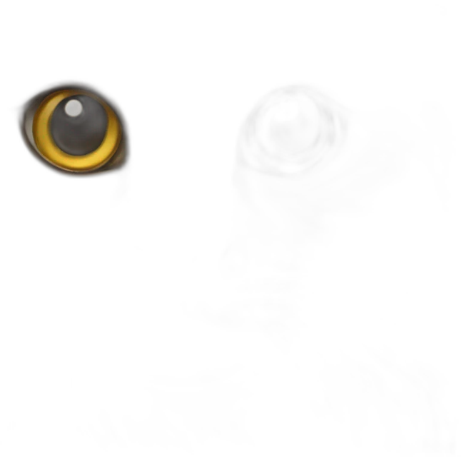 Norwegian forest cat  emoji