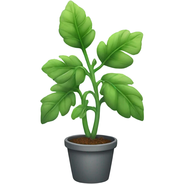 foggy green plant emoji