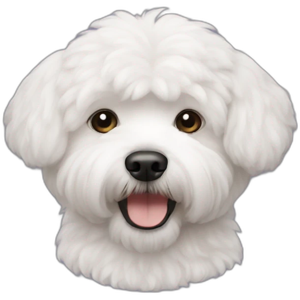 Bichon havanais emoji