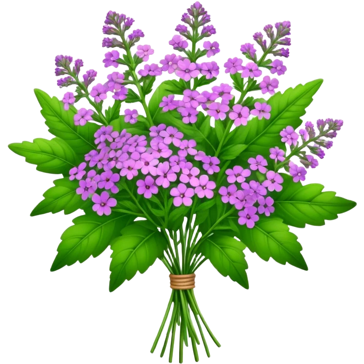 big bouquet Verbena, stem, leaf emoji
