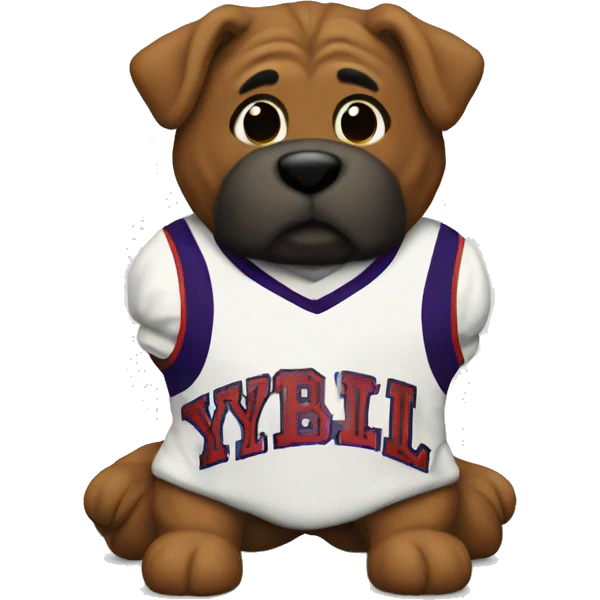Jersey that says y v l emoji