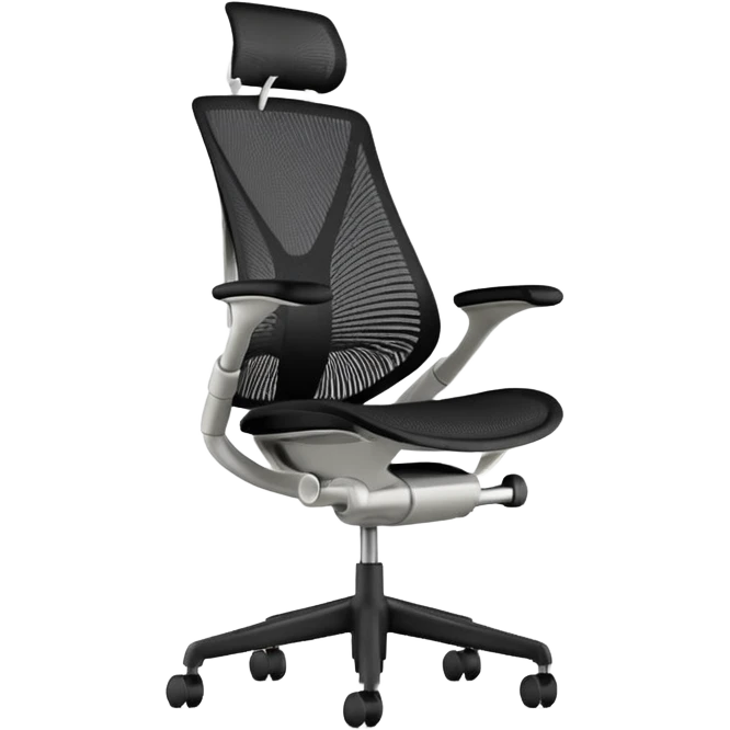 Sayl Herman Miller ergonomic chair  emoji