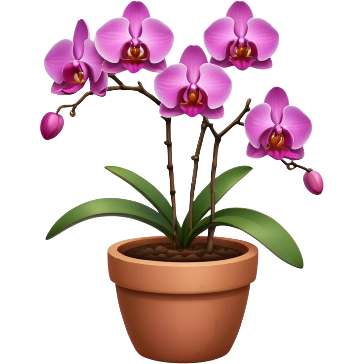 pink Orchid in a clay pot emoji