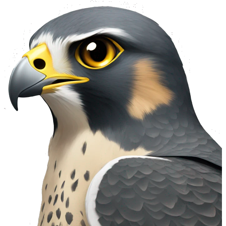 peregrine falcon with ht emoji