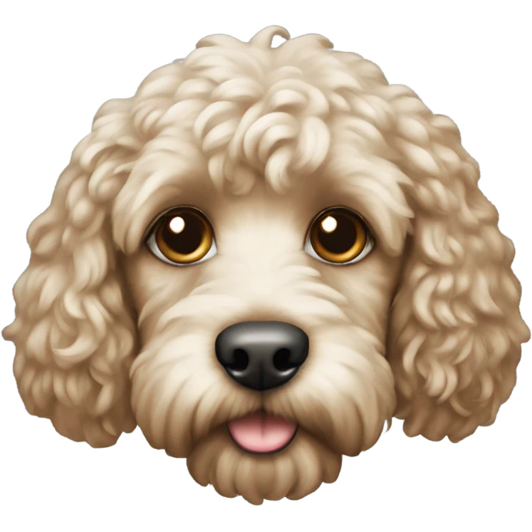 Cockapoo dog emoji