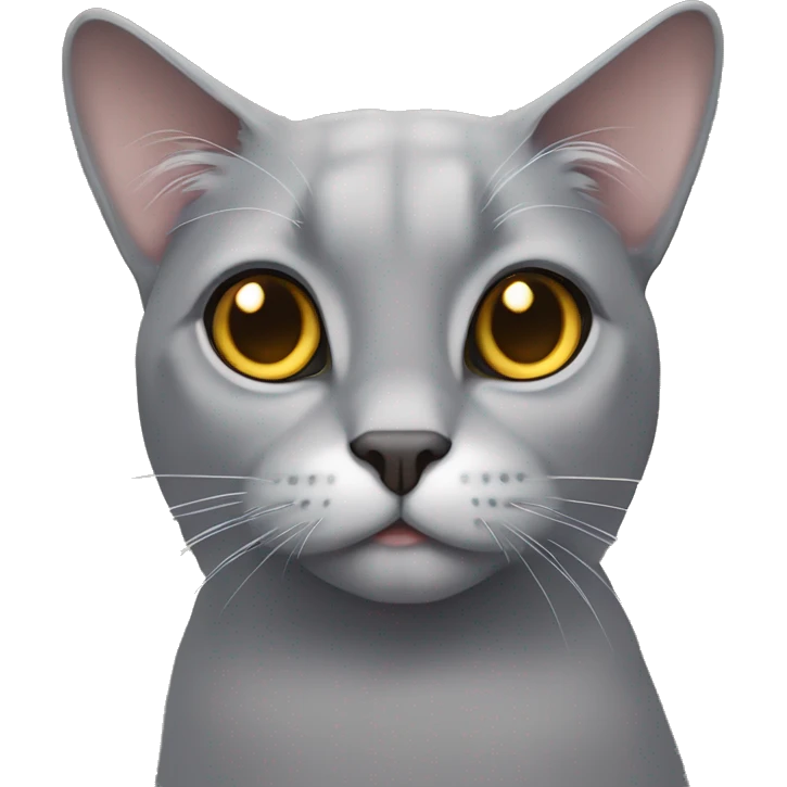 grey lop-eared cat with golden eyes emoji