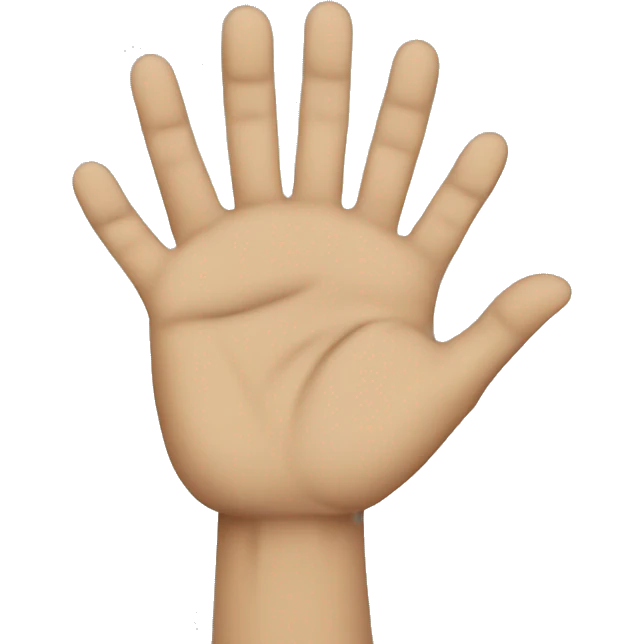 Stop hands emoji