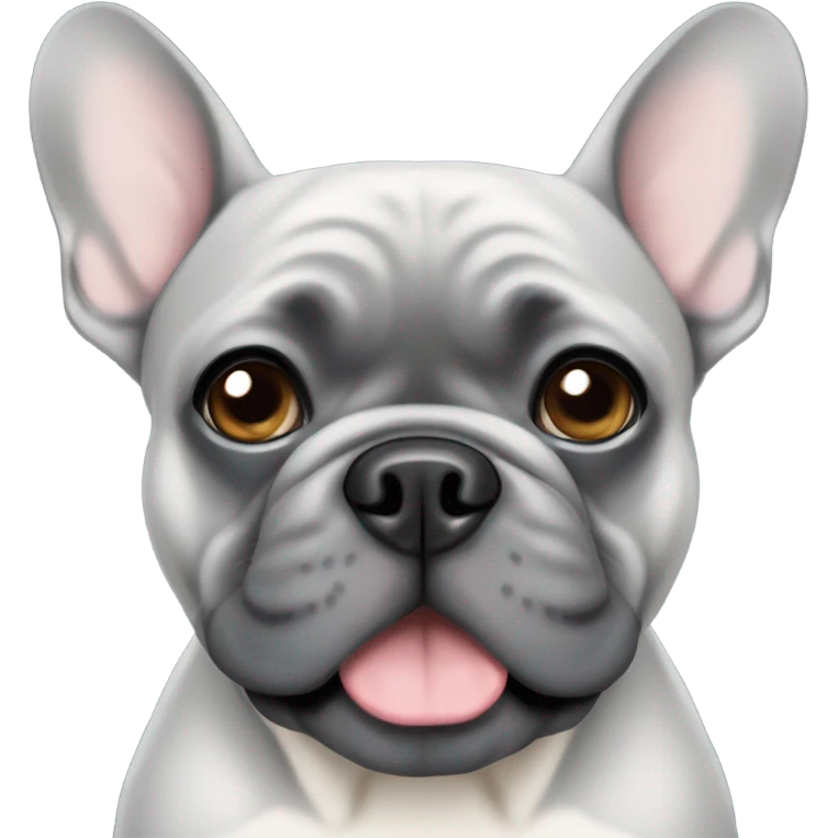 Gray French bulldog with gray eyes emoji