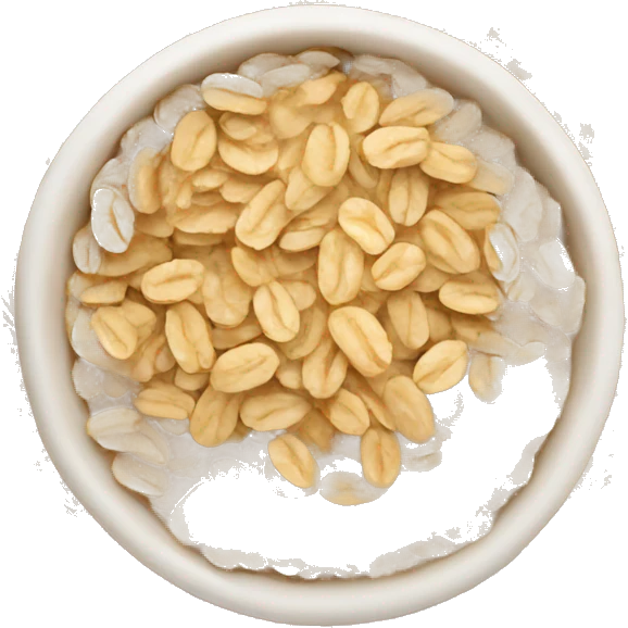 bowl of rolled oats emoji