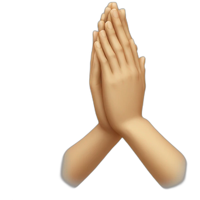 PRAYING HANDS emoji