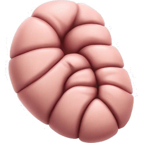 “A detailed image of a human stomach, showing its curved shape, inner folds, and a natural pinkish color.” emoji