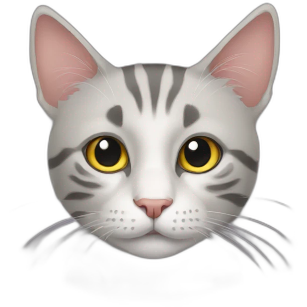 Home cat emoji