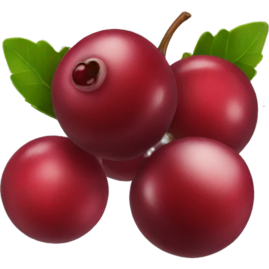 Cranberry  emoji