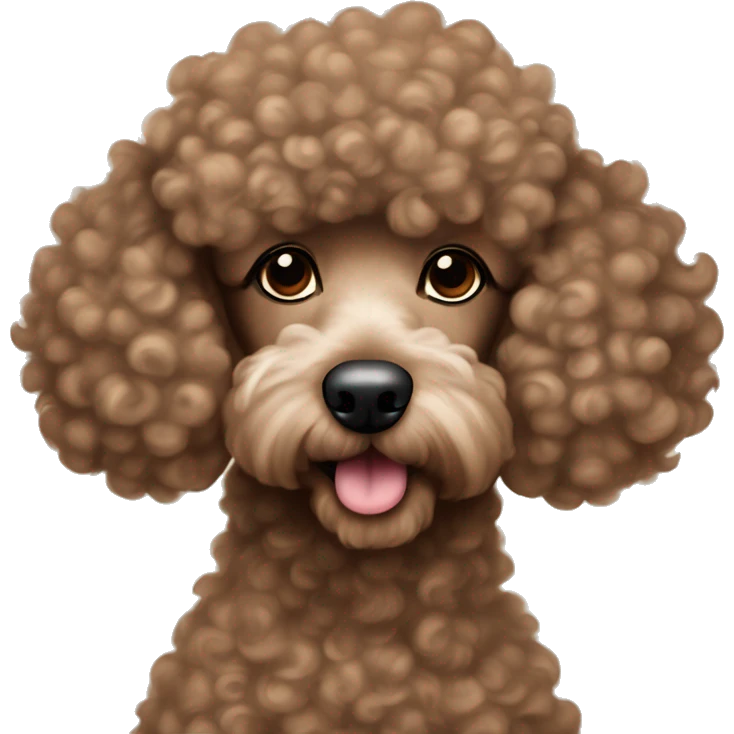 Curly brown poodle wearing fluffy like a cloud sweater  emoji