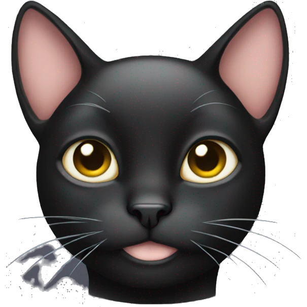 Black cat with white tummy emoji