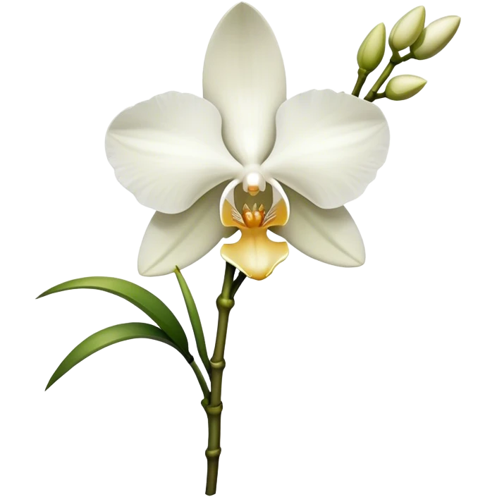 single white Dendrobium Orchid, stem emoji