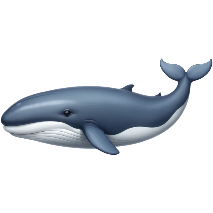 whale emoji