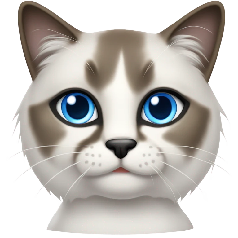 Snowshoe cat emoji