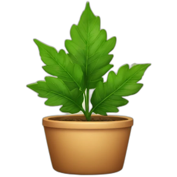 leafs at square pot emoji