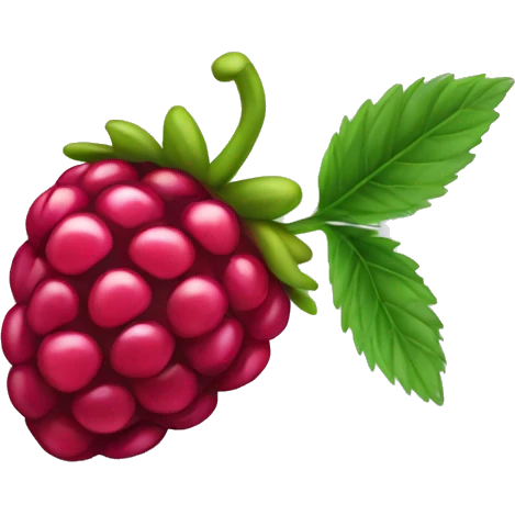 Raspberry  emoji