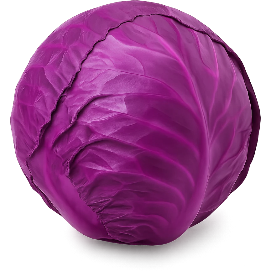 realistic red cabbage with vibrant purple leaves, no background emoji