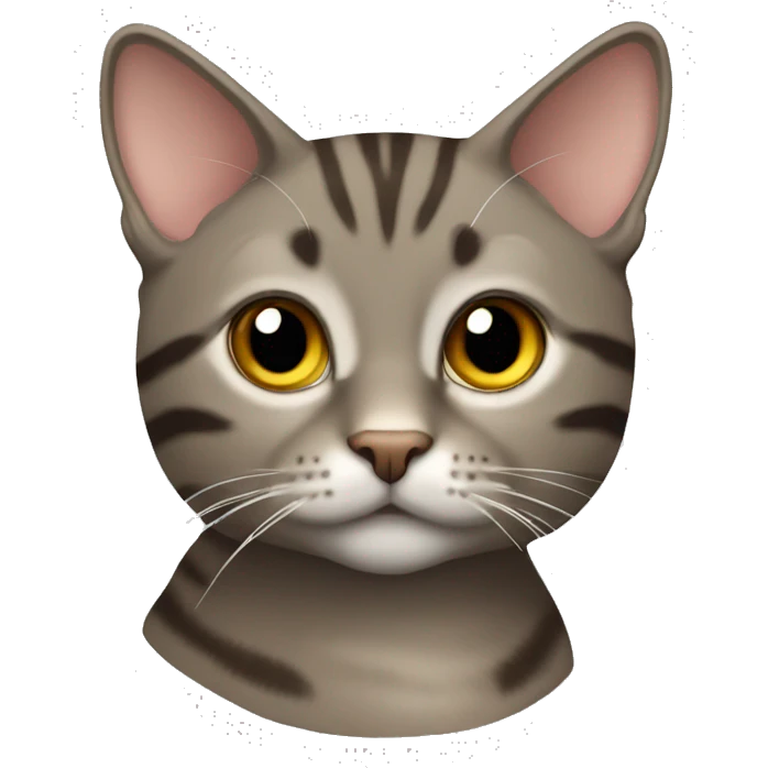 Brownish grey tabby cat  emoji