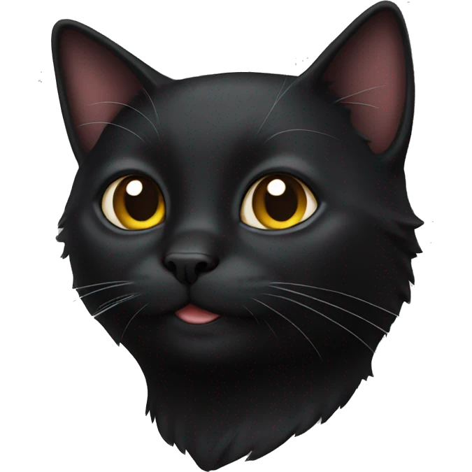 black cat emoji