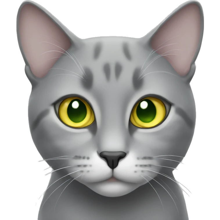 grey cat with green-yellow eyes, lop-eared emoji