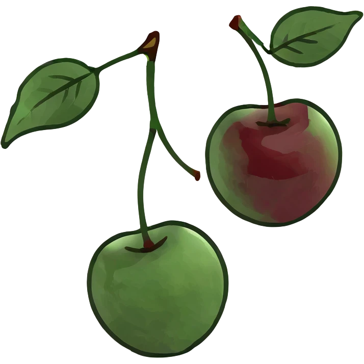 3D style pair of deep burgundy cherries with green stem, rich dark red color emoji