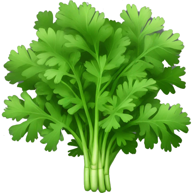 Cilantro with black background emoji