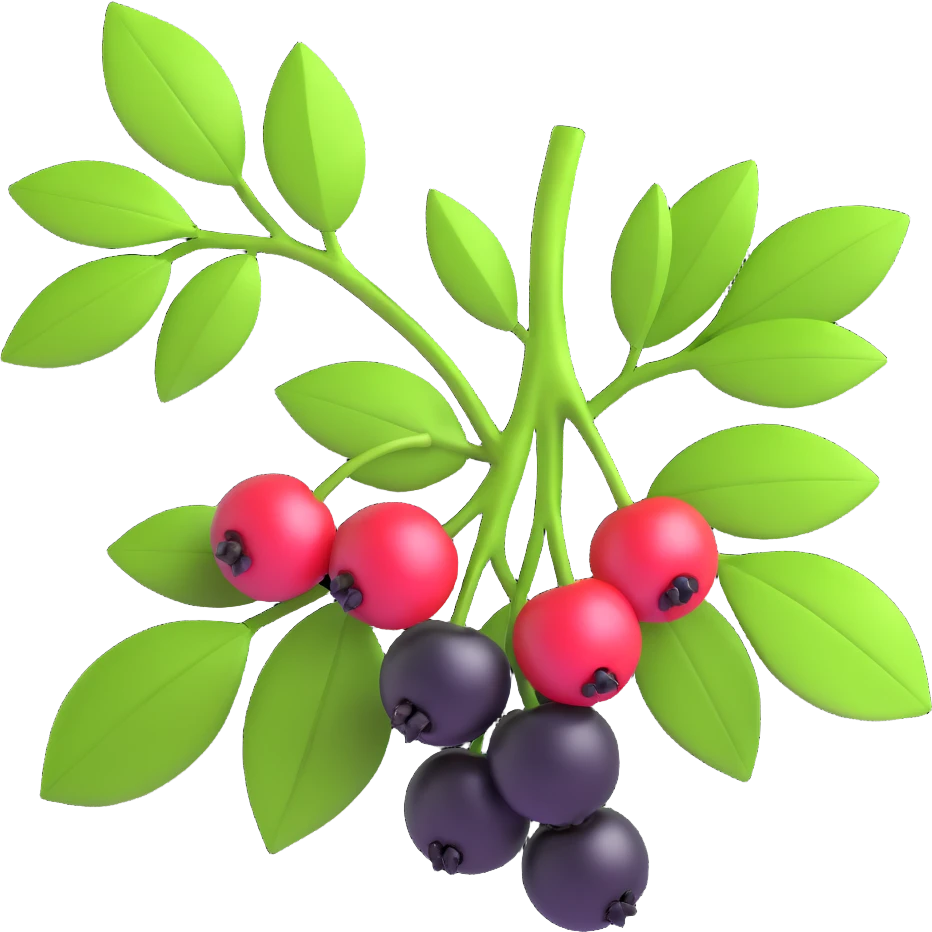 Redraw the cherry branch with black berries and green leaves in a modern 3D iOS style. Add volume, expressive light and shadow, and a clean background. emoji