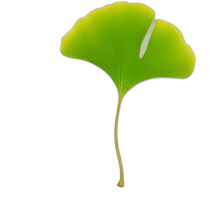 ginkgo emoji