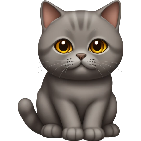 british shorthair cat in choclate with Brown eyes sitting  emoji