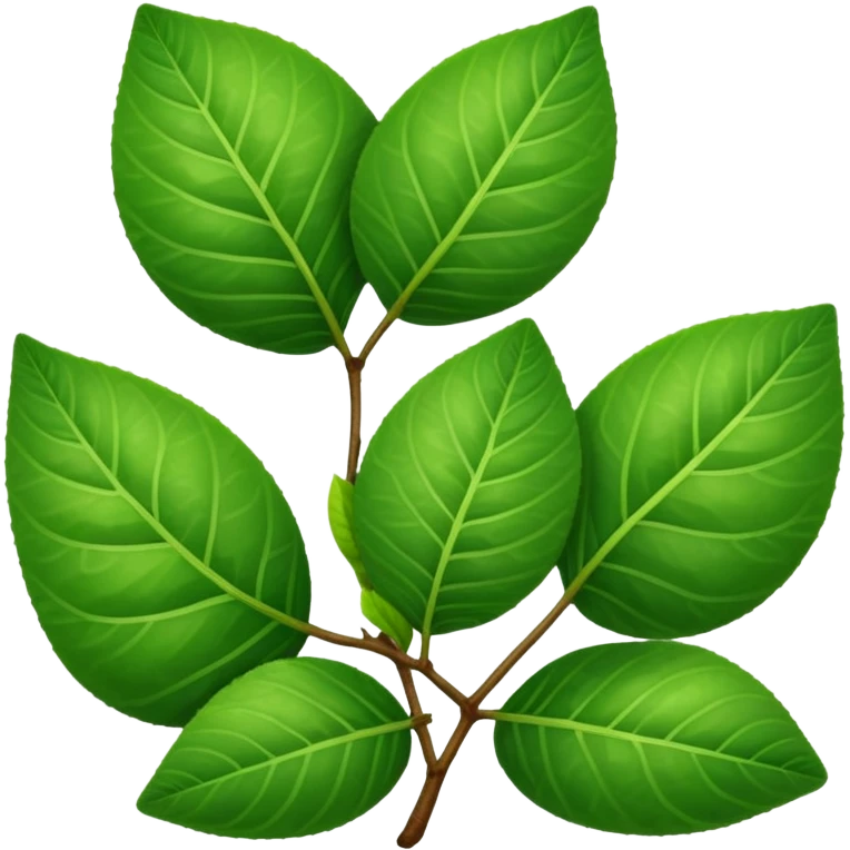 Guava leaves from the guava plant emoji