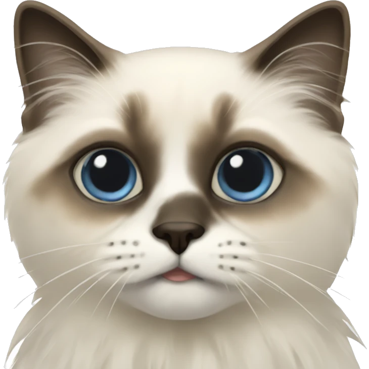 Birman cat emoji