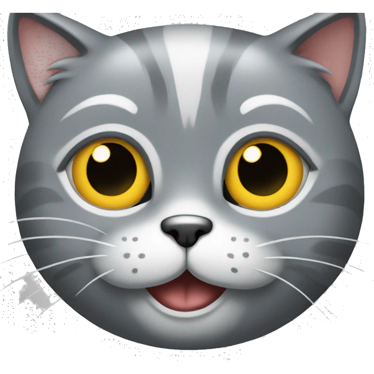 Chat avec un chat gris emoji