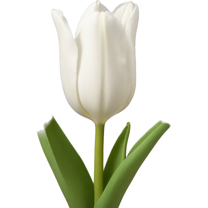 tulipan blanco  emoji