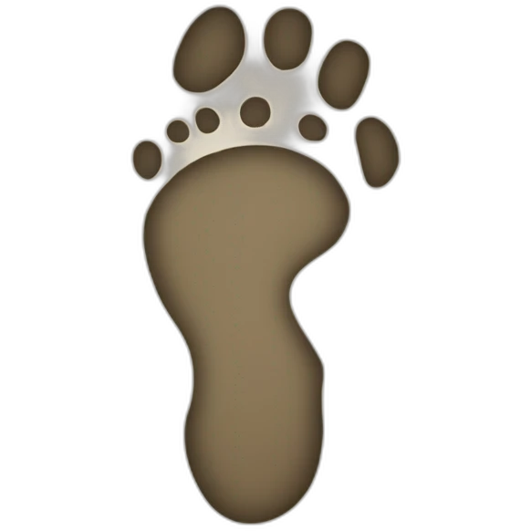 footprint emoji