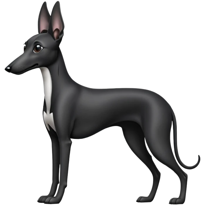 cinematic-[black greyhound]-realistic-full-body-sitting-emoji,-tail-resting-loosely-beside-its-paws,-head-tilted-dramatically, ears drooped, -sleek-[black]-fur,-simplified-yet-realistic-focused-features,-highly-detailed,-glowing-with-an-almost-sarcastic-glow emoji