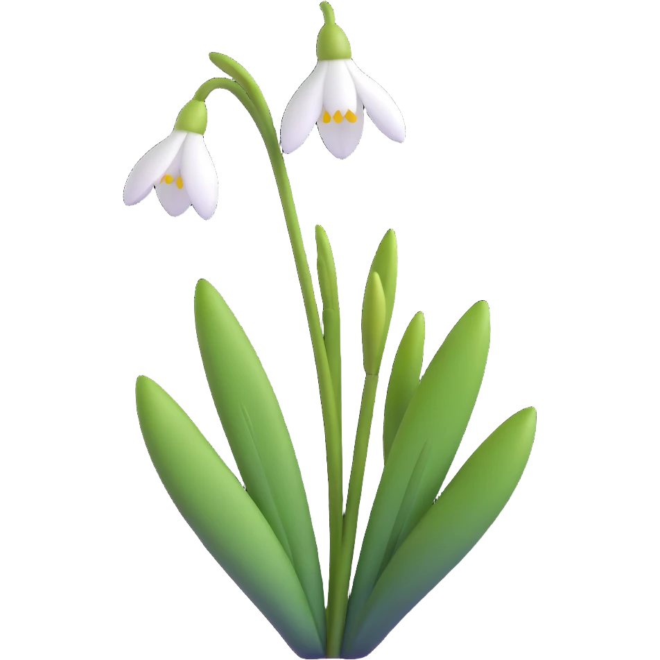 snowdrop flower emoji