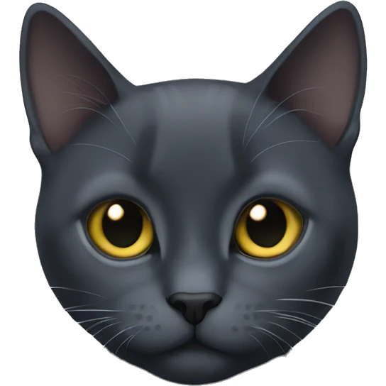 black cat russian blue emoji