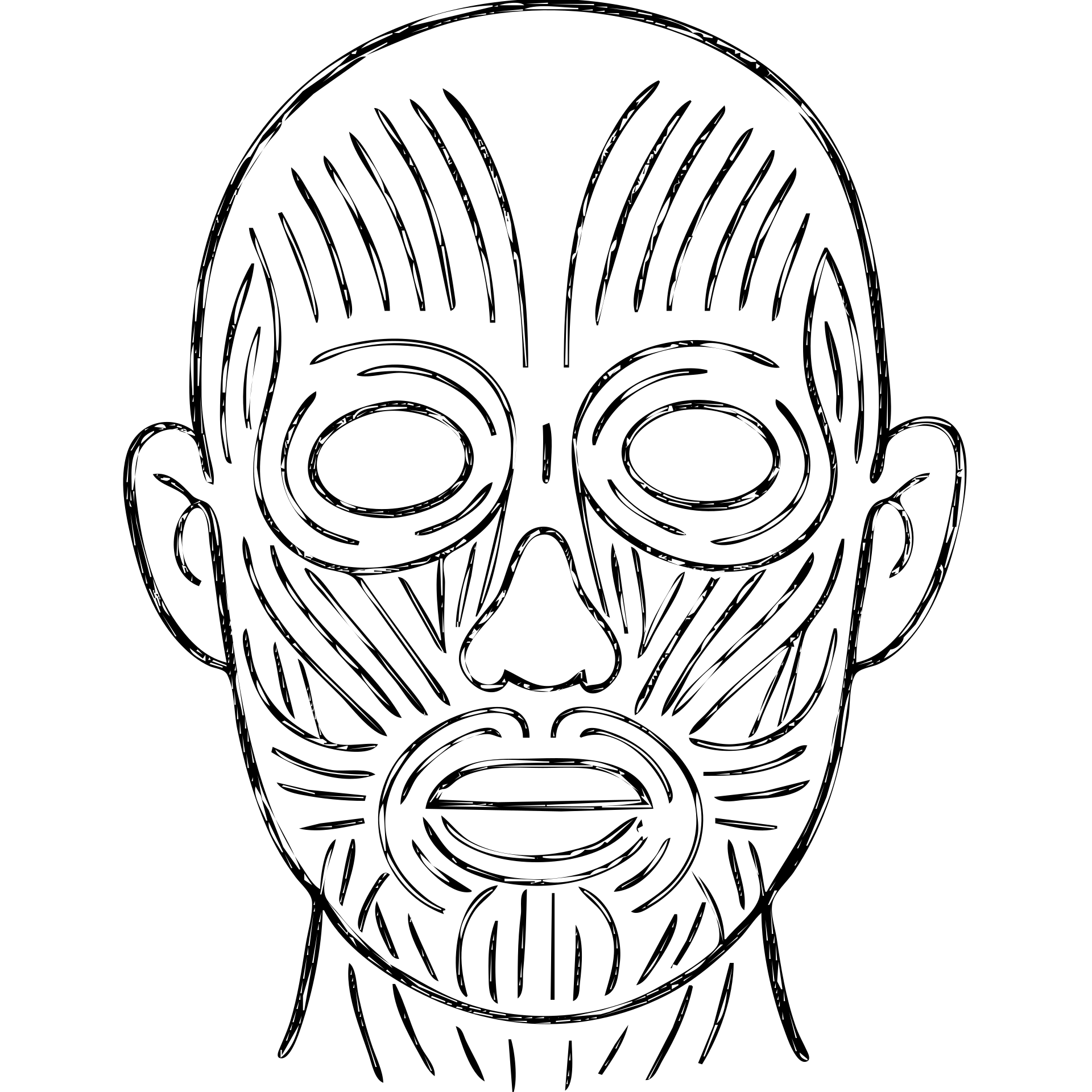 face with skin removed, showing muscle structure emoji