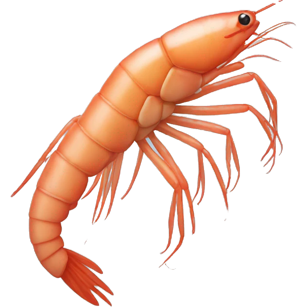 shrimp emoji