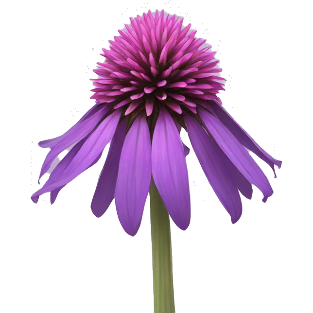 purple cone flower emoji