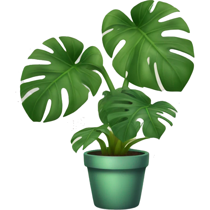 potted monstera plant emoji