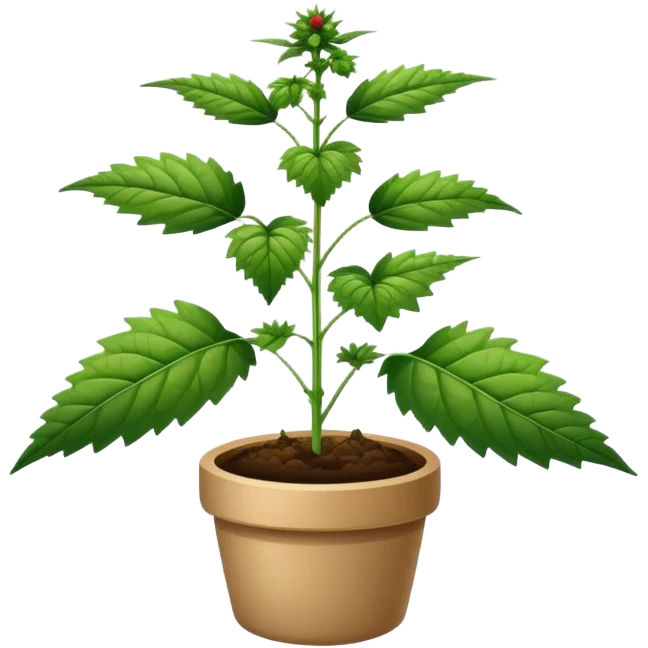 Nettle plant  emoji