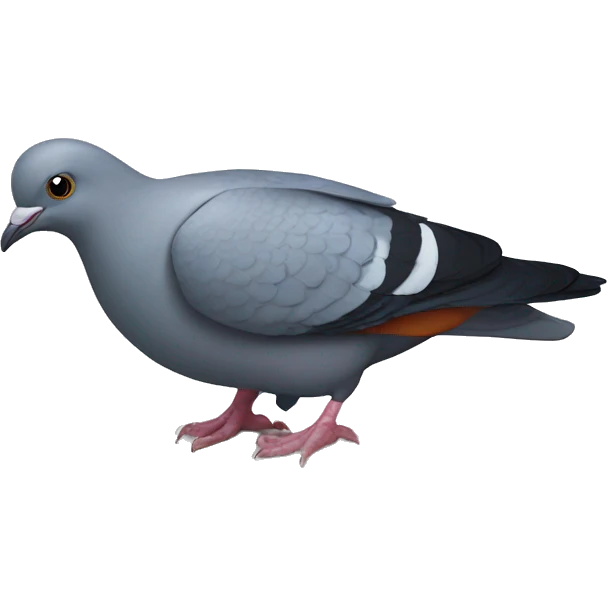 fish-pigeon emoji